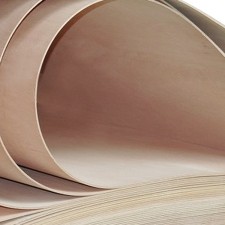 요꼬/오징어 합판4T x 1220 x 2440 ( 4 x 8 ) ( 강 질 )