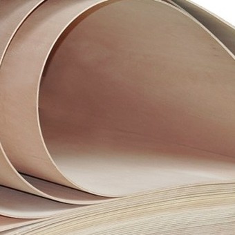 요꼬/오징어 합판4T x 1220 x 2440 ( 4 x 8 ) ( 강 질 )